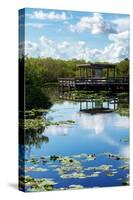 Everglades National Park - Unesco World Heritage Site - Florida - USA-Philippe Hugonnard-Stretched Canvas