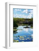 Everglades National Park - Unesco World Heritage Site - Florida - USA-Philippe Hugonnard-Framed Photographic Print