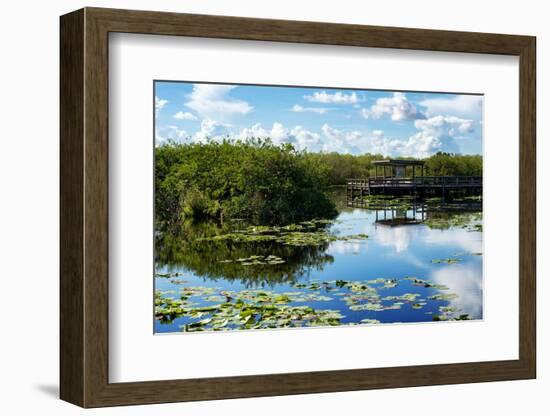 Everglades National Park - Unesco World Heritage Site - Florida - USA-Philippe Hugonnard-Framed Photographic Print