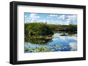 Everglades National Park - Unesco World Heritage Site - Florida - USA-Philippe Hugonnard-Framed Photographic Print