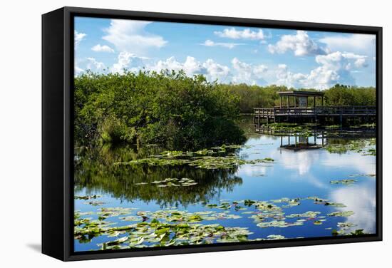 Everglades National Park - Unesco World Heritage Site - Florida - USA-Philippe Hugonnard-Framed Stretched Canvas