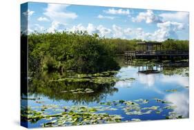 Everglades National Park - Unesco World Heritage Site - Florida - USA-Philippe Hugonnard-Stretched Canvas