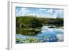 Everglades National Park - Unesco World Heritage Site - Florida - USA-Philippe Hugonnard-Framed Photographic Print