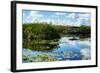 Everglades National Park - Unesco World Heritage Site - Florida - USA-Philippe Hugonnard-Framed Photographic Print