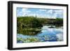 Everglades National Park - Unesco World Heritage Site - Florida - USA-Philippe Hugonnard-Framed Photographic Print