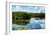 Everglades National Park - Unesco World Heritage Site - Florida - USA-Philippe Hugonnard-Framed Photographic Print