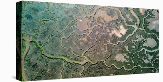 Everglades National Park View from Above-jon chica parada-Stretched Canvas