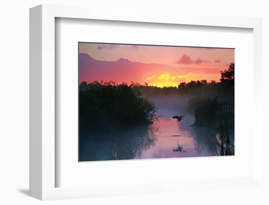 Everglades National Park-null-Framed Art Print