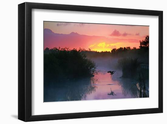 Everglades National Park-null-Framed Art Print
