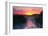 Everglades National Park-null-Framed Art Print