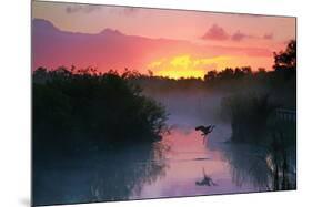 Everglades National Park-null-Mounted Art Print