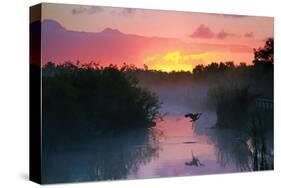 Everglades National Park-null-Stretched Canvas
