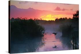 Everglades National Park-null-Stretched Canvas