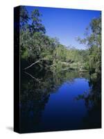 Everglades, Noosa, Queensland, Australia-Rob Mcleod-Stretched Canvas