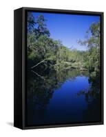 Everglades, Noosa, Queensland, Australia-Rob Mcleod-Framed Stretched Canvas