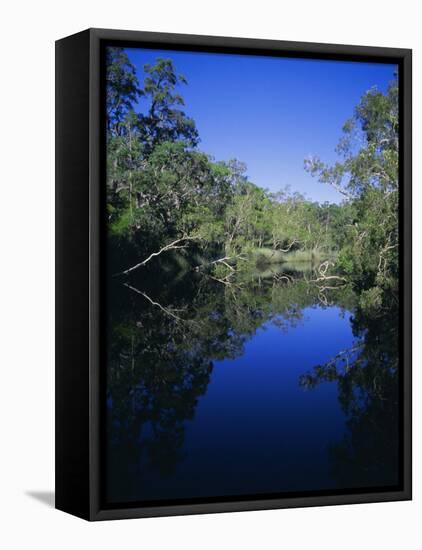 Everglades, Noosa, Queensland, Australia-Rob Mcleod-Framed Stretched Canvas