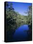 Everglades, Noosa, Queensland, Australia-Rob Mcleod-Stretched Canvas