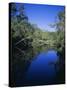 Everglades, Noosa, Queensland, Australia-Rob Mcleod-Stretched Canvas