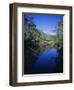 Everglades, Noosa, Queensland, Australia-Rob Mcleod-Framed Photographic Print