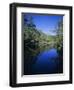 Everglades, Noosa, Queensland, Australia-Rob Mcleod-Framed Photographic Print