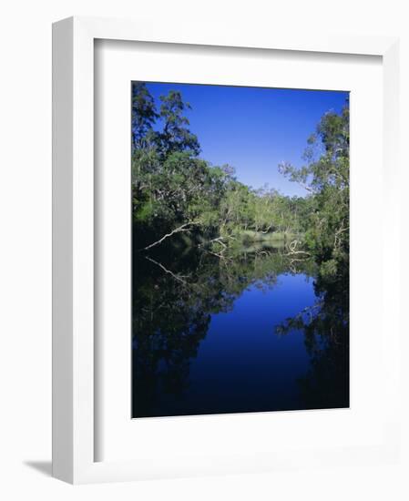 Everglades, Noosa, Queensland, Australia-Rob Mcleod-Framed Photographic Print