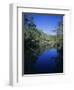 Everglades, Noosa, Queensland, Australia-Rob Mcleod-Framed Photographic Print