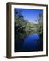 Everglades, Noosa, Queensland, Australia-Rob Mcleod-Framed Photographic Print