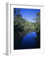 Everglades, Noosa, Queensland, Australia-Rob Mcleod-Framed Photographic Print