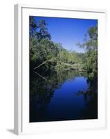 Everglades, Noosa, Queensland, Australia-Rob Mcleod-Framed Photographic Print