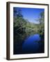 Everglades, Noosa, Queensland, Australia-Rob Mcleod-Framed Photographic Print