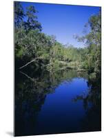 Everglades, Noosa, Queensland, Australia-Rob Mcleod-Mounted Photographic Print