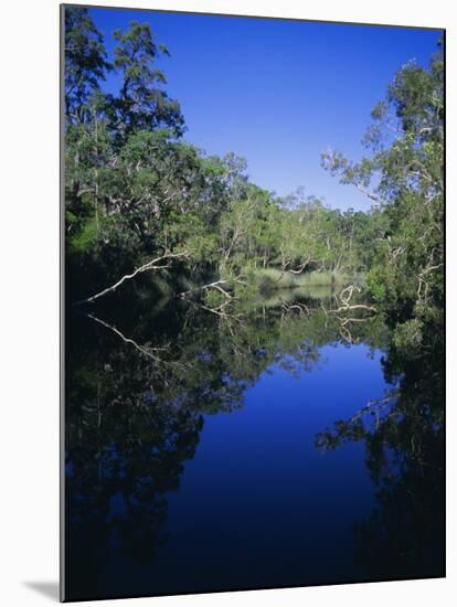 Everglades, Noosa, Queensland, Australia-Rob Mcleod-Mounted Photographic Print