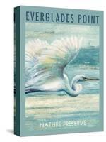 Everglades Poster I-Patricia Pinto-Stretched Canvas