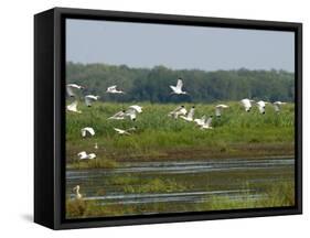 Everglades Reservoirs-Luis M. Alvarez-Framed Stretched Canvas