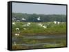 Everglades Reservoirs-Luis M. Alvarez-Framed Stretched Canvas