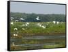 Everglades Reservoirs-Luis M. Alvarez-Framed Stretched Canvas