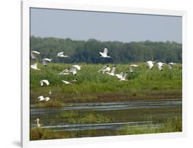 Everglades Reservoirs-Luis M. Alvarez-Framed Photographic Print