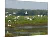 Everglades Reservoirs-Luis M. Alvarez-Mounted Photographic Print