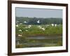 Everglades Reservoirs-Luis M. Alvarez-Framed Photographic Print