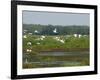 Everglades Reservoirs-Luis M. Alvarez-Framed Photographic Print