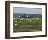 Everglades Reservoirs-Luis M. Alvarez-Framed Photographic Print