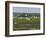 Everglades Reservoirs-Luis M. Alvarez-Framed Photographic Print