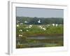 Everglades Reservoirs-Luis M. Alvarez-Framed Photographic Print