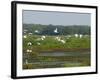 Everglades Reservoirs-Luis M. Alvarez-Framed Photographic Print