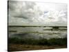 Everglades Restoration-J. Pat Carter-Stretched Canvas