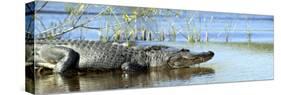 Everglades Restoration-J. Pat Carter-Stretched Canvas