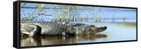 Everglades Restoration-J. Pat Carter-Framed Stretched Canvas