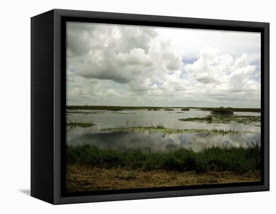 Everglades Restoration-J. Pat Carter-Framed Stretched Canvas