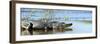 Everglades Restoration-J. Pat Carter-Framed Photographic Print