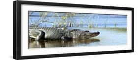 Everglades Restoration-J. Pat Carter-Framed Photographic Print